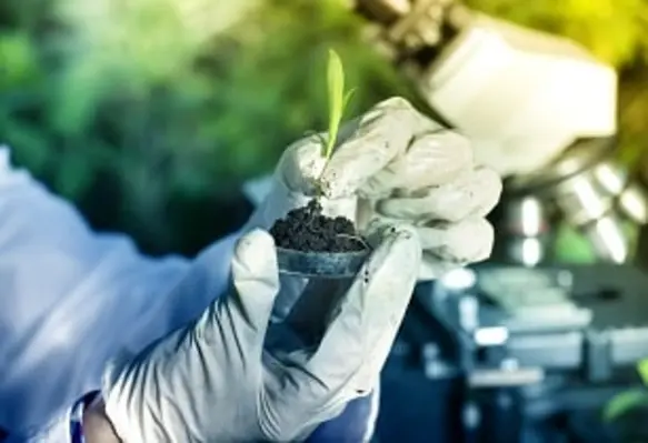 AgXelerators is rapidly expanding their agriscience business by delivering end-to-end support and partnership to its clients. (Image source: Adobe Stock)