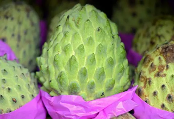 The hybrid fruit, known as an atemoya, is a cross between the sugar apple and cherimoya. (Image source: Adobe Stock)