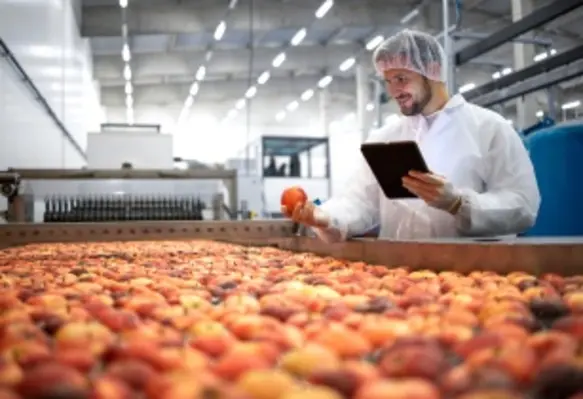 Fruit-X soon to be rebranded FRESH FRUIT-X after AM FRESH Group acquires majority stake in the company (Image source: Adobe Stock)