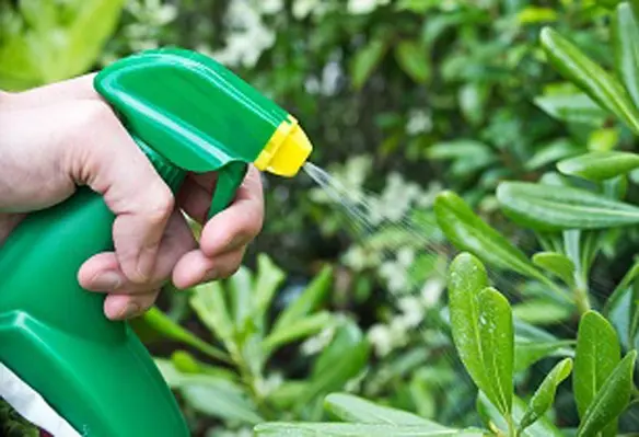 Growers are eager to explore innovative and effective biological solutions that limit the impact on the environment and biodiversity. (Image source: Adobe Stock)