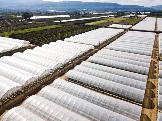 Arrigoni agrofilms 