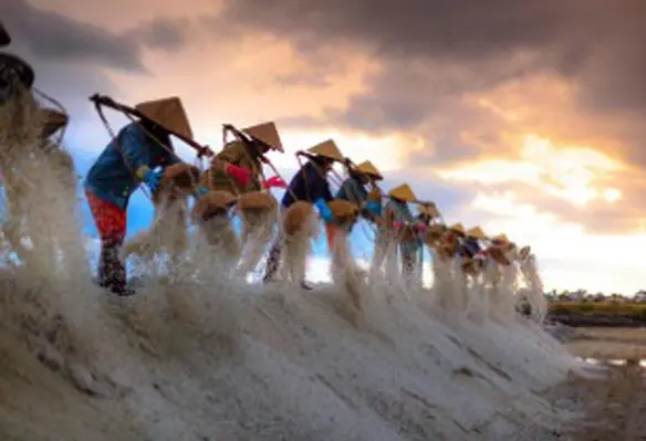 The Model Farmer Awards are an annual fixture of FAO’s Regional Office for Asia and the Pacific. (Image source: Quang Nguyen vinh/Pixabay)