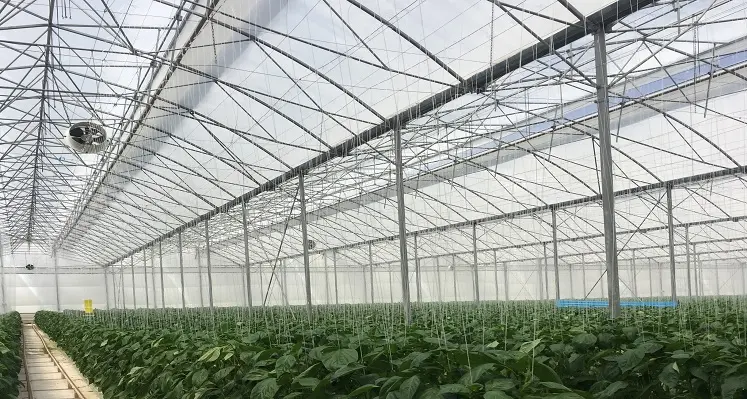 BIORETE AIR PLUS