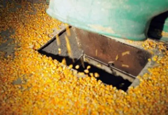 Cargill is also partnering with Saigon International Terminals Vietnam to build a dedicated grain and oilseeds warehousing facilities in Phu My. (Image Source: wattpublishing/Flickr)