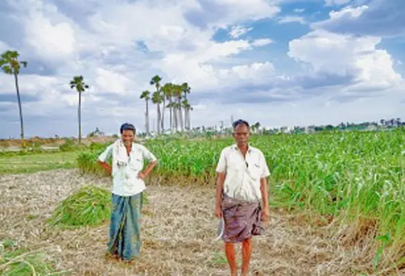 DeHaat aims to boost the number of farmers on its network to one million by June 2021. (Image source: Barinder Singh Basan/Pixabay)