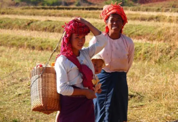 As many as 65 foreign companies will invest capital into agricultural sector of Myanmar. (Image source: Paul Arps/Flickr)