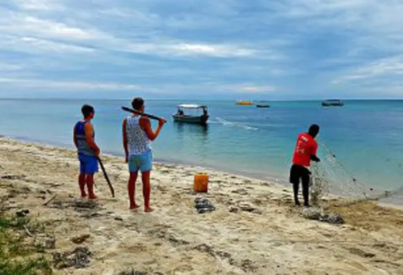 FAO aims to boost up development of fishing communities across the Asia-Pacific region. (Image source: razel.mella/Flickr)