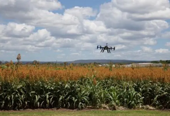 The proactive sharing of Open Data is set to make information about agriculture and nutrition available to deal with the urgent challenge of ensuring world food security. (Image source: Sarah Clarry/Pixabay)
