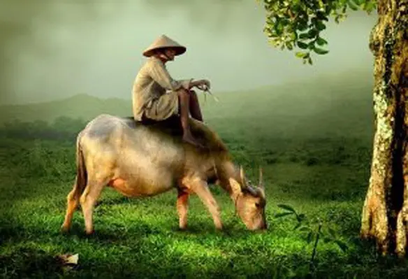 The fund aims to help rural SMEs to grow their business and income. (Image source: Heri Santoso/Pixabay)