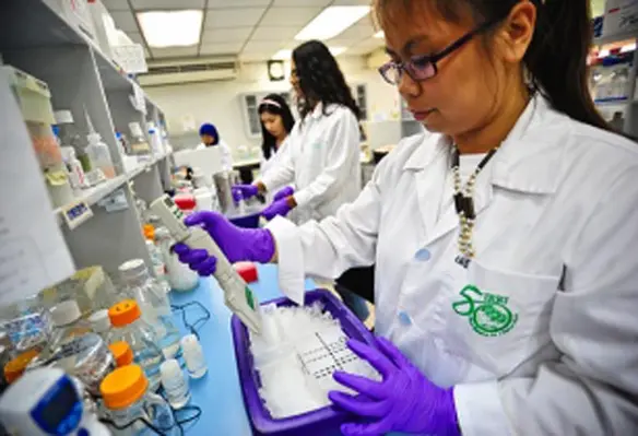 IRRI said that the partnership would result in better service for Intertek clients. (Image source: International Rice Research Institute)