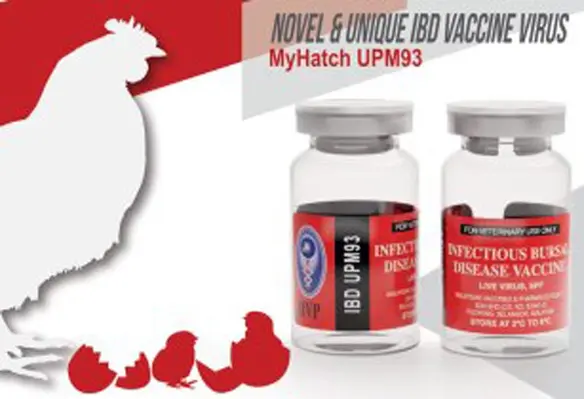 UPM 93273 selected for production of intermediate-plus IBD vaccine (Image source: Malaysian Vaccines and Pharmaceuticals)