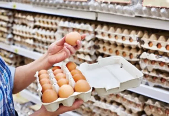 Studies have shown cage-free eggs to be safer with a better nutritional profile than caged eggs. (Image source: Adobe Stock)