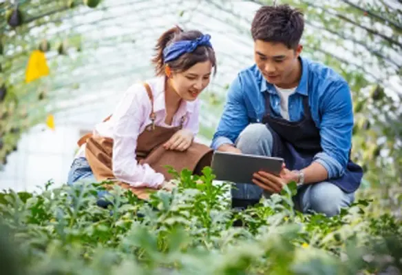 New seed varieties from BASF help farmers produce enough healthy and affordable food in an environmentally friendly way. (Image source: BASF)