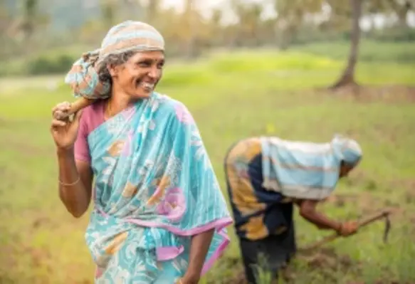 28 villages and approximately 500 suppliers in the Indian states of Maharashtra and Karnataka to benefit from the programme. (Image source: Adobe Stock)