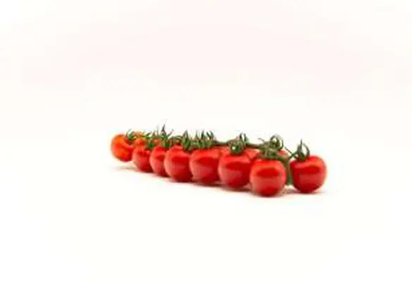 Durillo F1 is an indeterminate variety with medium-high vigour and short internodes. (Image source: Top Seeds International)