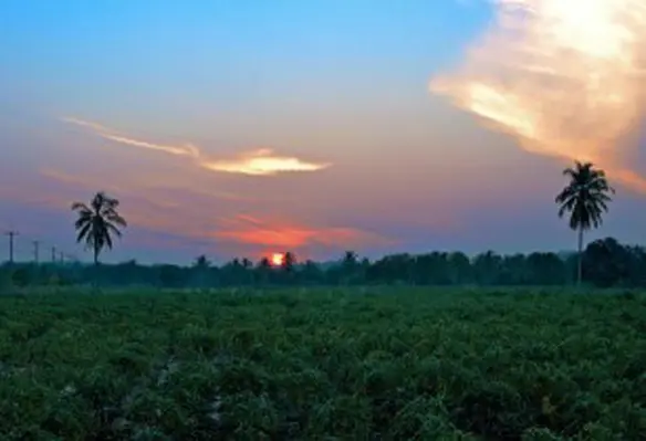 Thailands agriculture ministry will organise the National Farmers Forum at SIMA ASEAN. (Image source: newroadboy/Flickr)