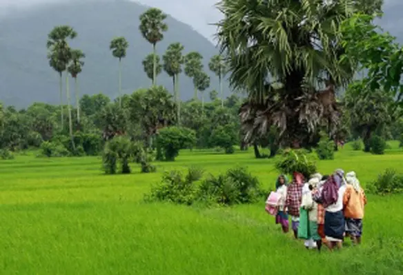 The agreement should be mutually beneficial to the buyers and farmers. (Image source: Anoop Kumar/Flickr)