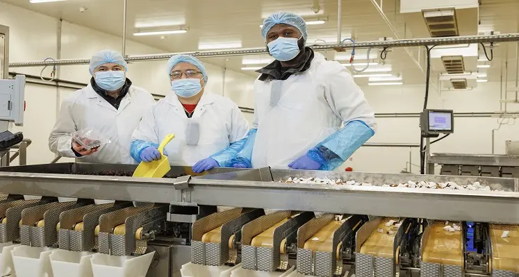 The weighers have helped deliver greater efficiencies, while maintaining the quality of the cut fruit. (Image source: Voie Certe) Operators at Voie Verte.