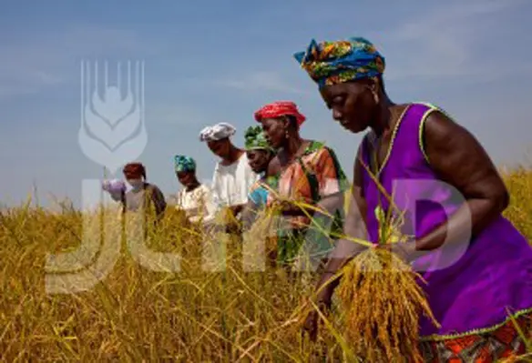 As the effects of climate change intensify, the impact on poor rural communities increases while small-scale farmers struggle to adapt. (Image source: IFAD)
