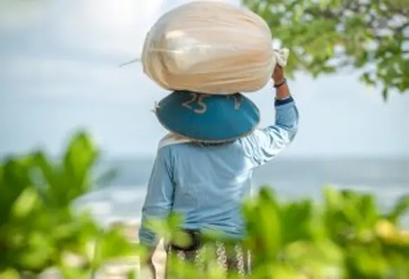 The mission of Women in Food and Agriculture is to make a measurable positive impact on gender diversity across the global food and agricultural industry. (Image source: Artem Beliaikin/Unsplash)