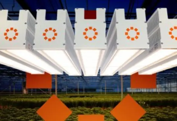 Hydrofarm’s Phantom PHOTOBIO•TX and PHOTOBIO•T greenhouse and indoor grow lights power green for sustainable farming (Image source: Business Wire)