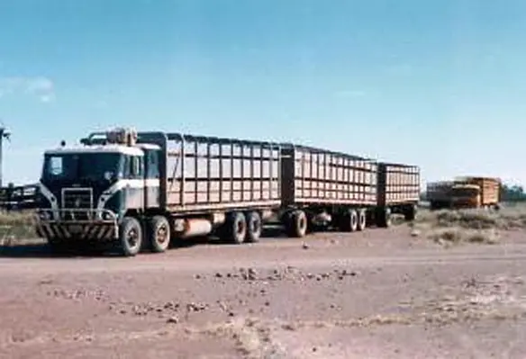 Transporting cattle in trucks on bad roads ends up distressing the cattle, leading to weight loss and anxiety. (Image source: PhilipSchubert/Flickr)