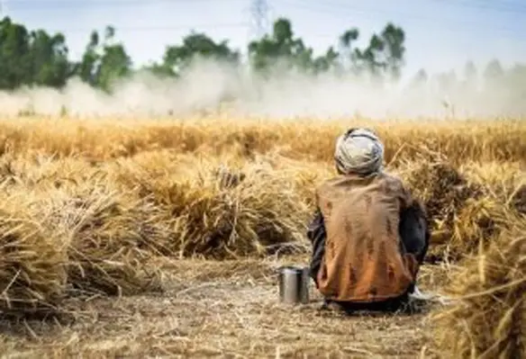 Small-scale farmers currently produce half of the world’s food calories, but are often entirely reliant on natural resources, including rain. (Image source: Aamir Mohd Khan/Pixabay)