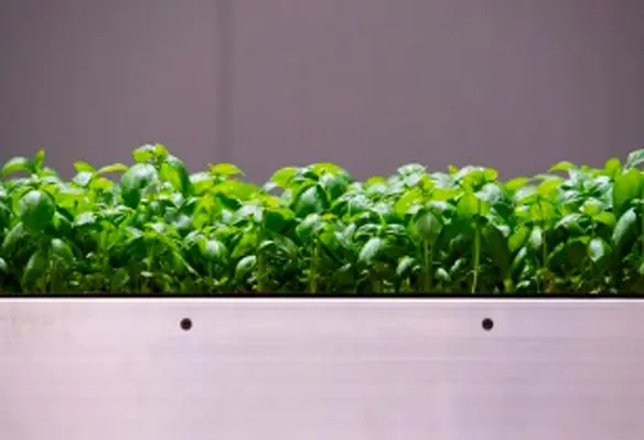 The agri-tech vertical farm system aims to reshape agriculture to sustain growing populations with high-yield crops. (Image source: Future Crops)
