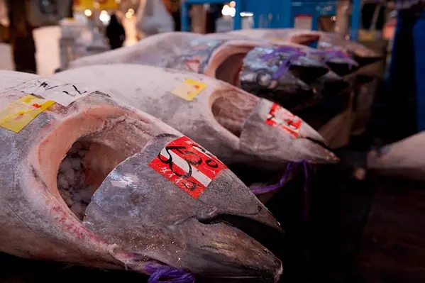The strong tuna catch this year is giving retailers a chance to promote the fish. (Image Source: tangysd/Flickr)