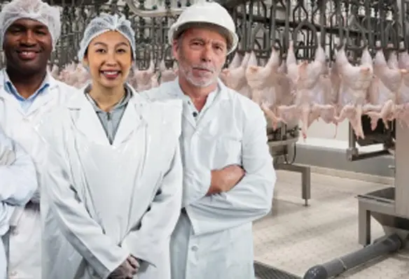 For the poultry processing industry, labour has now become a critical issue with rising poultry consumption while unemployment rates are low. (Image source: Meyn)