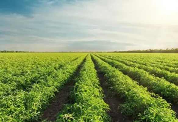 The introduction of this new economic indicator underscores the importance of the agricultural economy and its participants - food producers and agribusinesses. (Image source: Nagamasa Global)