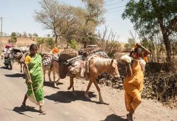 Pastoralists are also still poorly represented in decision-making processes in high-level institutions such as the United Nations and their own national governments. (Image source: Praveena Sridhar/Flickr)