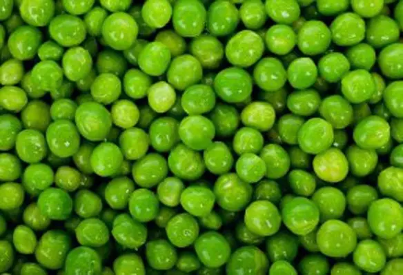 Cargill’s offerings will provide a minimum of 80% protein. (Image source: PublicDomainPictures/Pixabay)