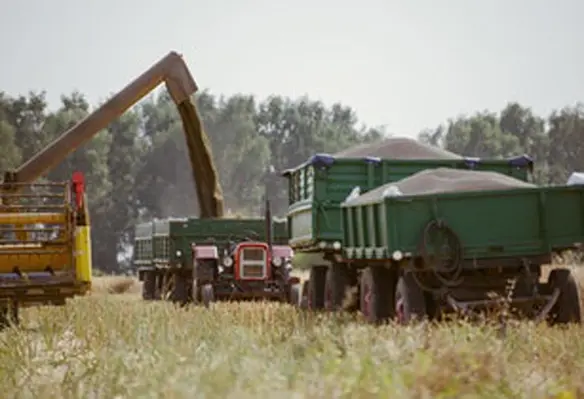 The ICE programme also includes some web seminars dedicated to particularly strategic countries for the agricultural machinery market. (Image source: Andrew Wilus/Pexels)