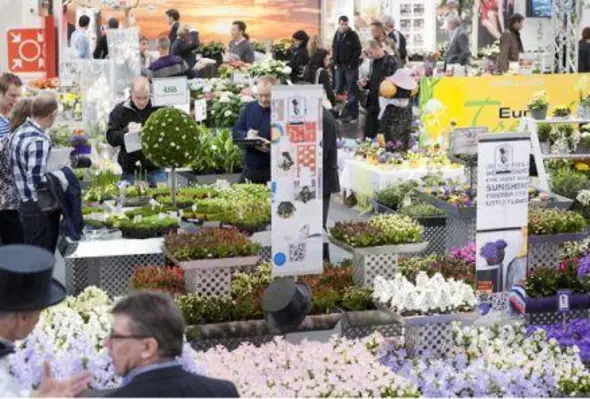 IPM ESSEN will present a unique range from the exhibitors in the plants, technology and floristry sections. (Image source: IPM Essen)