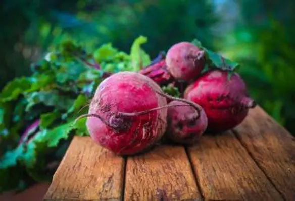 The agri-sector revolution is undergoing today is parallel to the one cybersecurity underwent in 2010. (Image source: Tracy Lundgren/Pixabay)