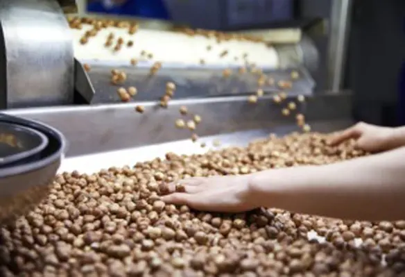 Olam Progıda has been using TOMRA Foods sorting technologies for the past 20 years and there are 18 TOMRA sorting machines in its four facilities. (Image source: TOMRA)