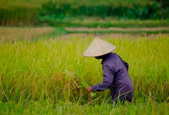 Vietnam has emerged a leading exporter of several key products in Southeast Asia. (Image source: TylerIngram/Flickr)