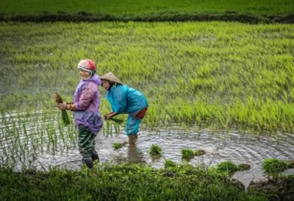 The panel discussions will focus on climate change, the future of global agriculture and the most pressing issues facing the industry. (Image source: Michael/Pixabay)